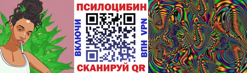 дарк нет наркотические препараты  Ясногорск  Галлюциногенные грибы Magic Shrooms 